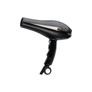 A black Green Lion professional hair dryer with a power of 2000W displayed against a white background.