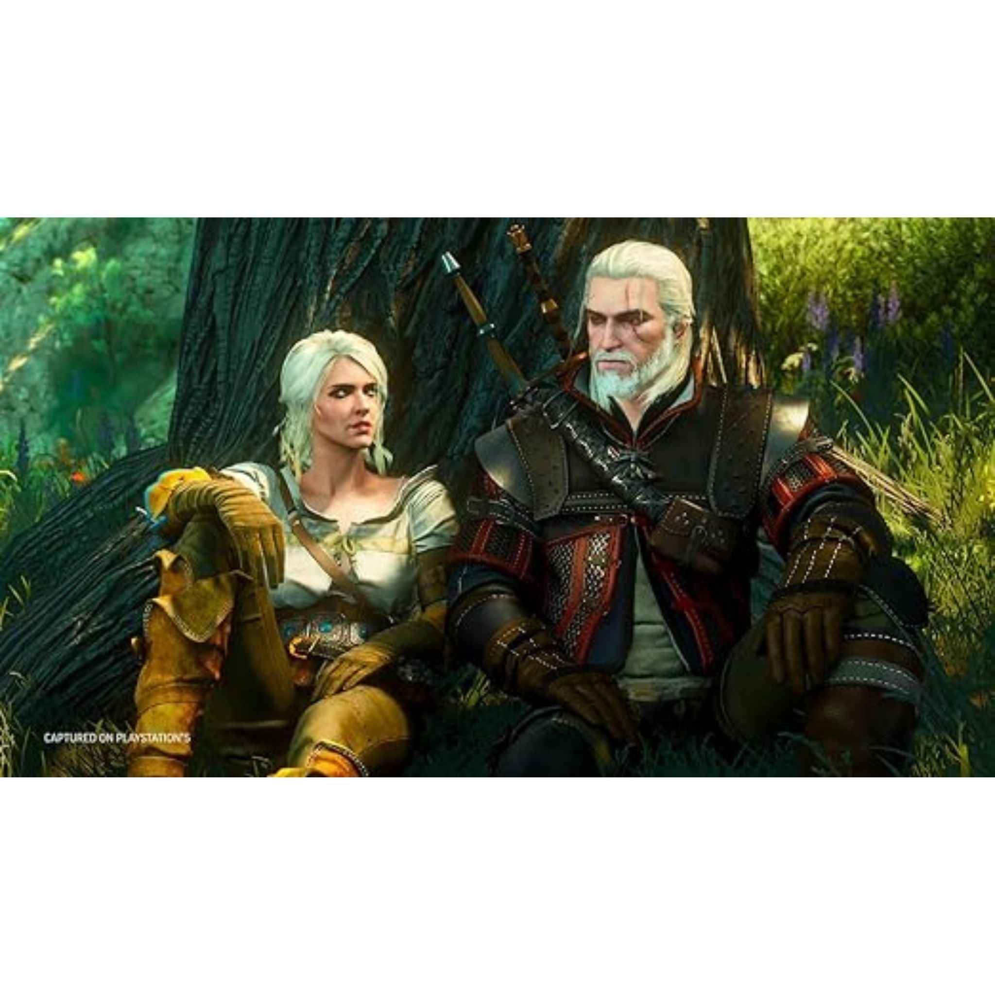 CD PROJEKT RED The Witcher 3: Wild Hunt Complete Edition International Version - PlayStation 5 (PS5)