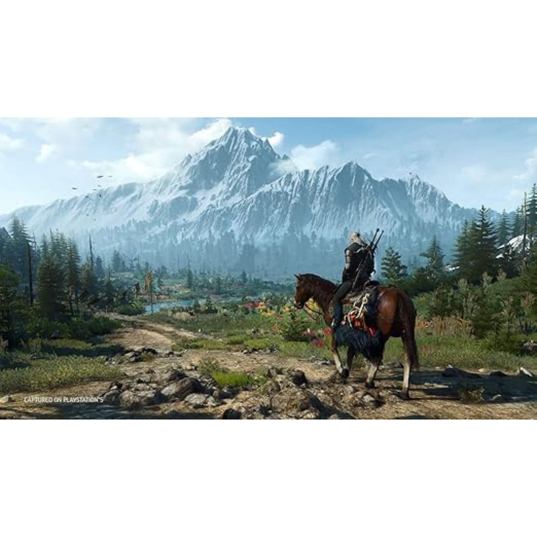 CD PROJEKT RED The Witcher 3: Wild Hunt Complete Edition International Version - PlayStation 5 (PS5)