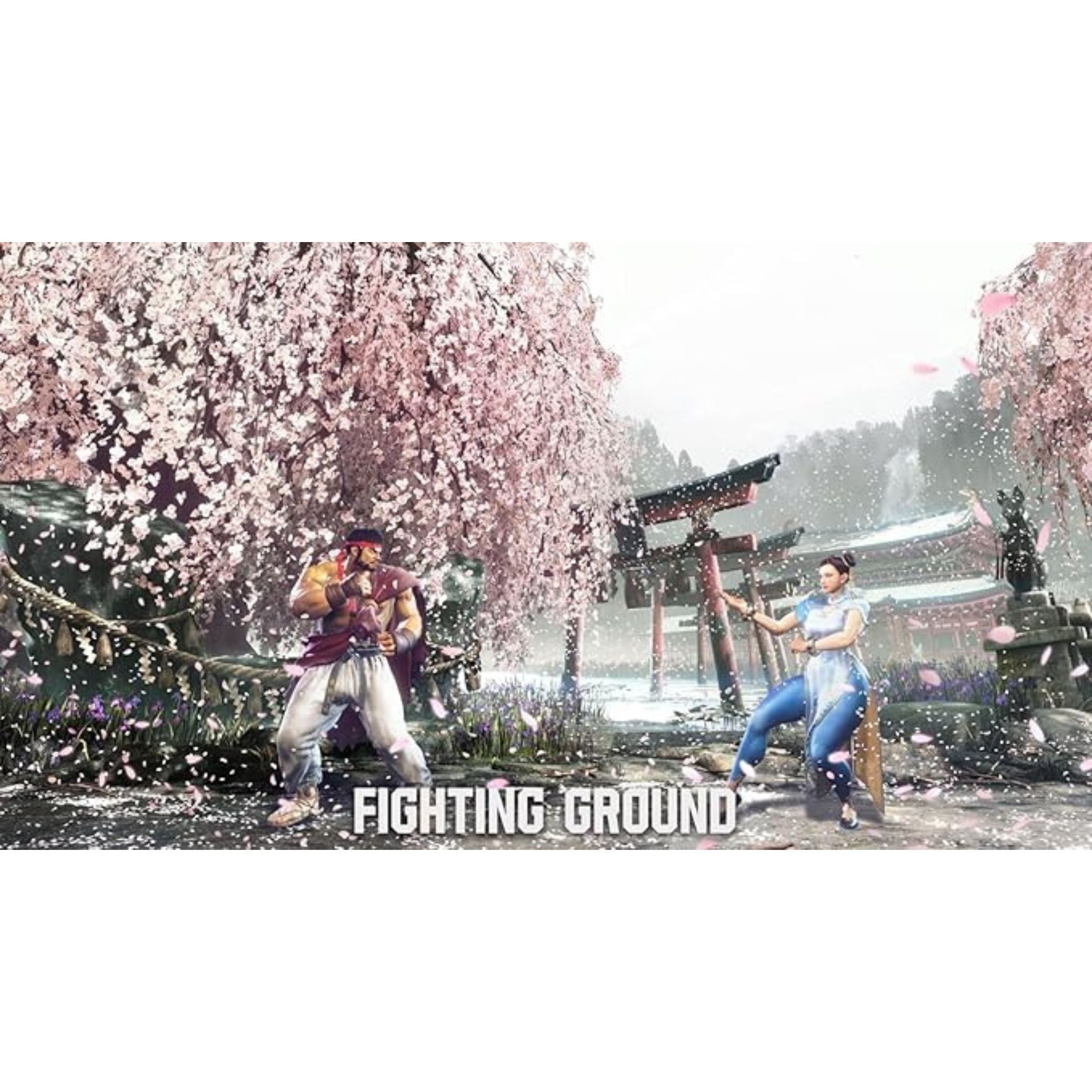 CAPCOM Street Fighter 6 Lenticular Edition PS5 - PlayStation 5 (PS5)