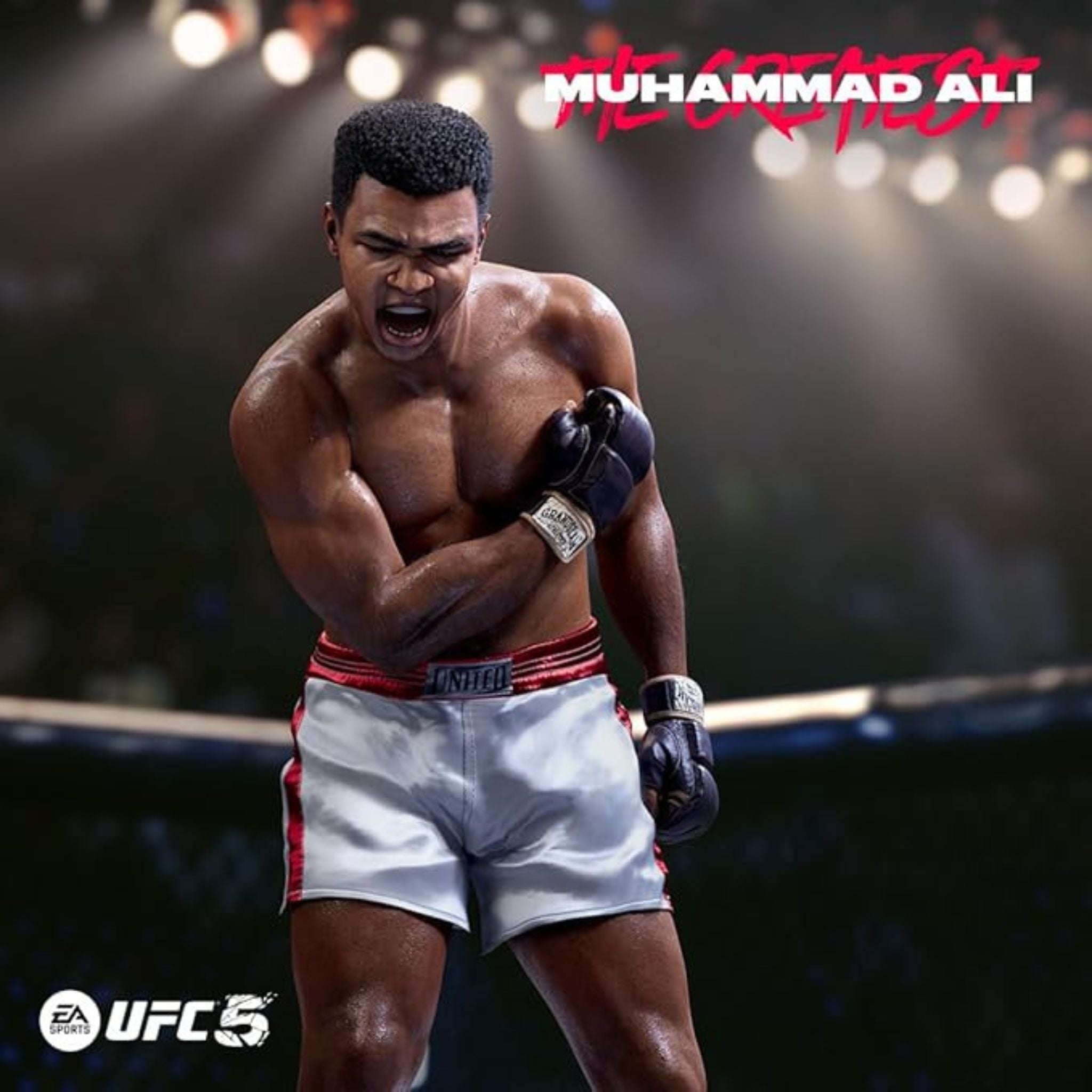 EA Sports UFC 5 - PlayStation 5 (PS5)