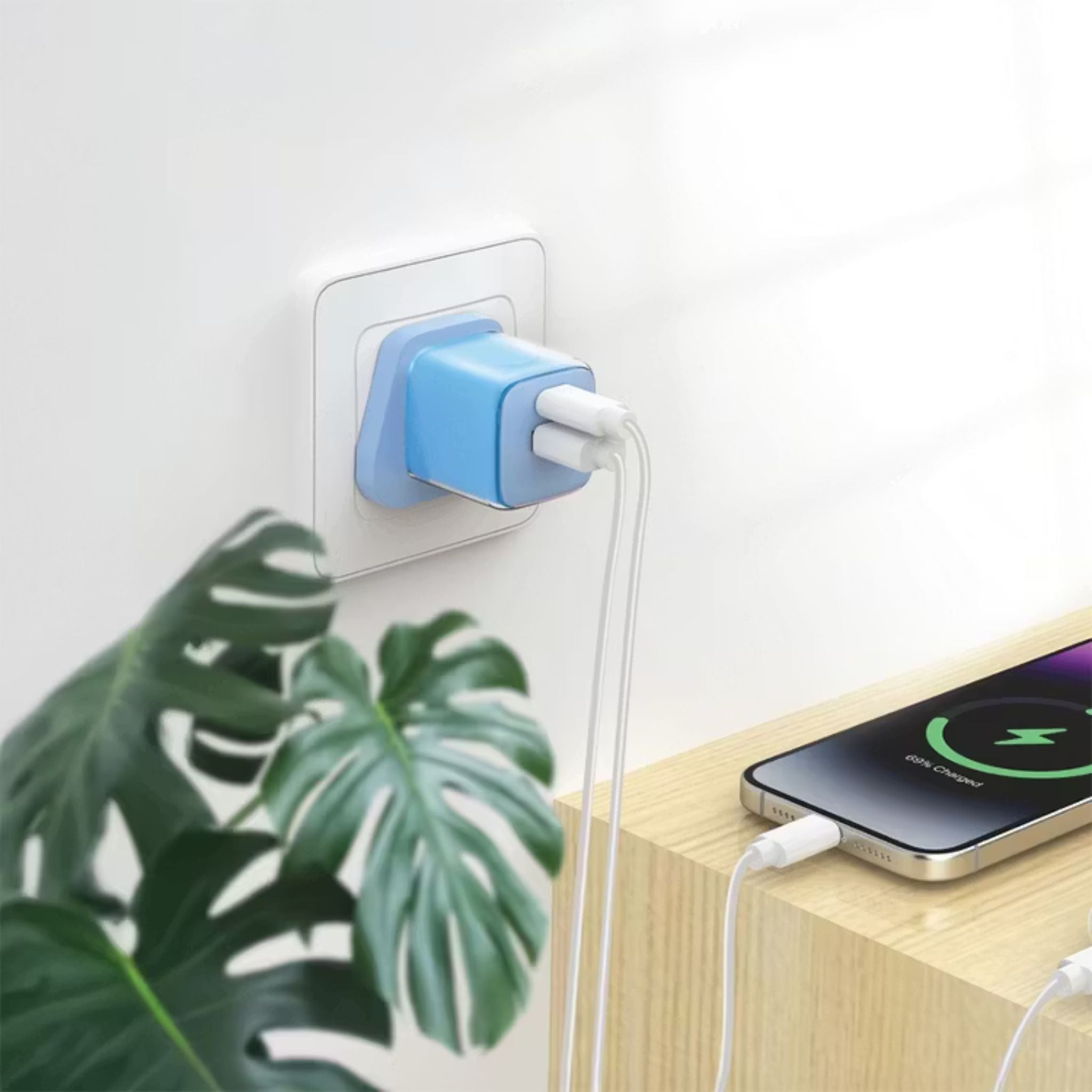 Green Lion Reva Dual Port Wall Charger with Fast Charge Support, 20W Power Delivery, 18W USB-A Output, Flame-Retardant Material, Multi-Device Charging, Built-in Safeguard, GaN Technology - Blue