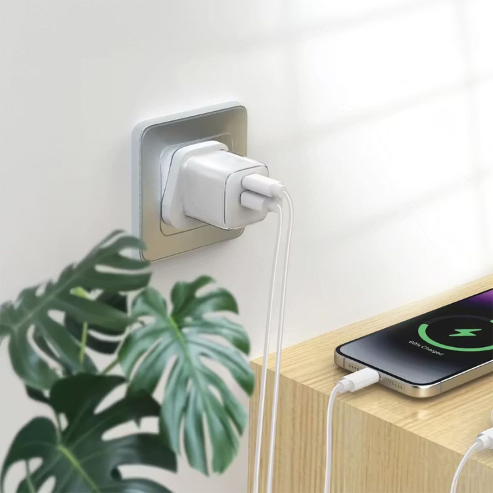 Green Lion Reva Dual Port Wall Charger with Fast Charge Support, 20W Power Delivery, 18W USB-A Output, Flame-Retardant Material, Multi-Device Charging, Built-in Safeguard, GaN Technology - White