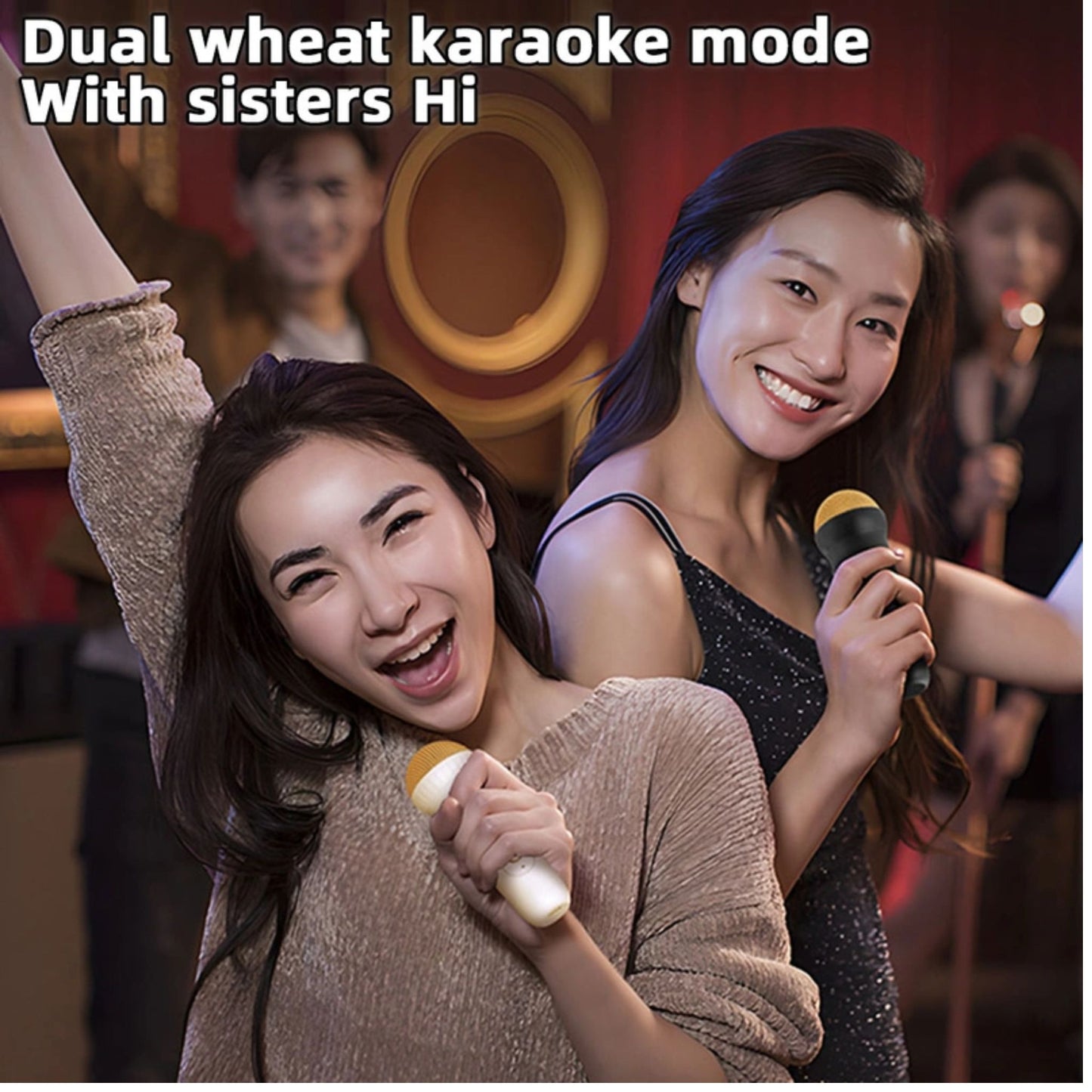 Mini Single/Double Microphone Wireless Speaker Multi-Purpose Singing Audios Machine For Home Outdoor Black 1 Microphone