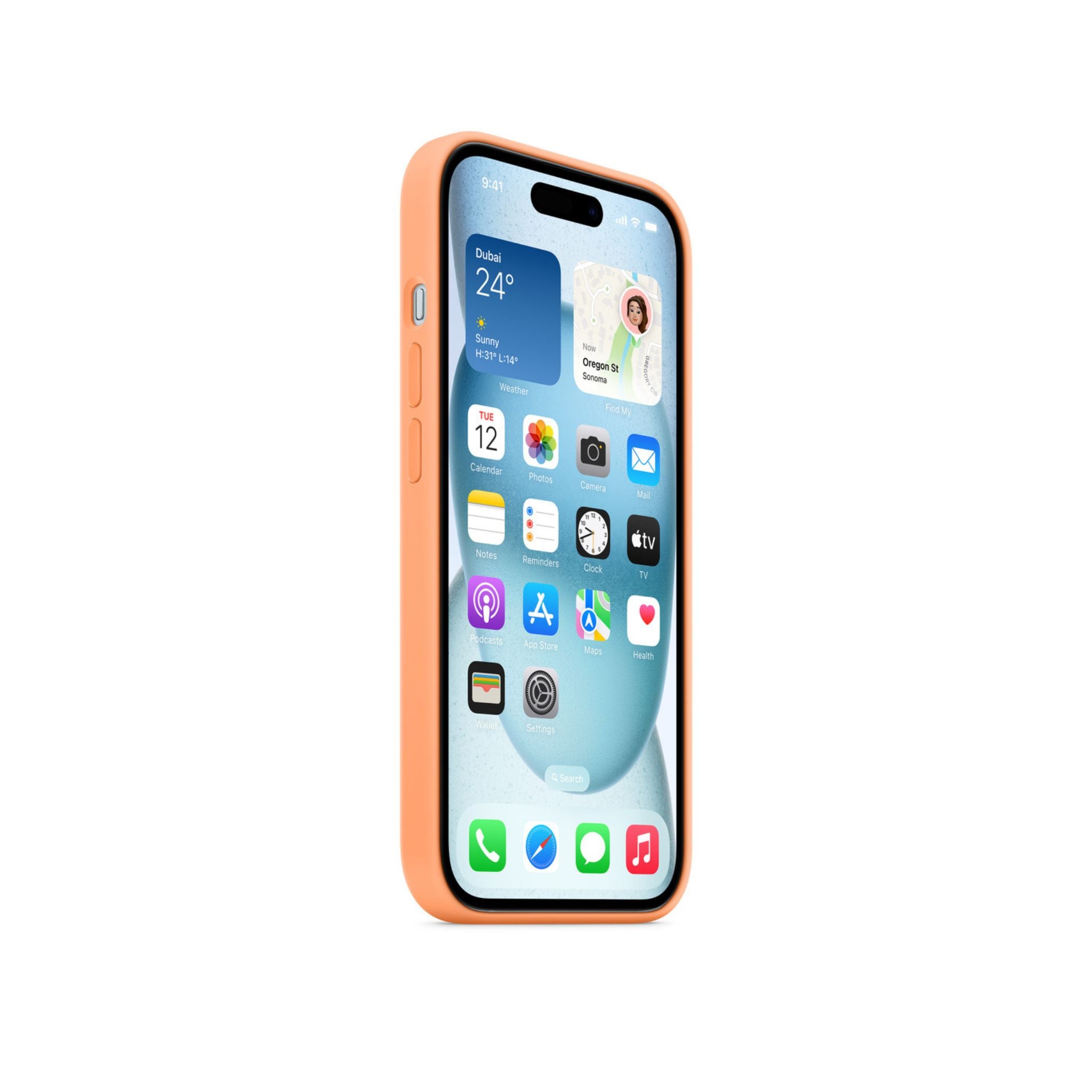 APPLE iPhone 15 Silicone Case with MagSafe