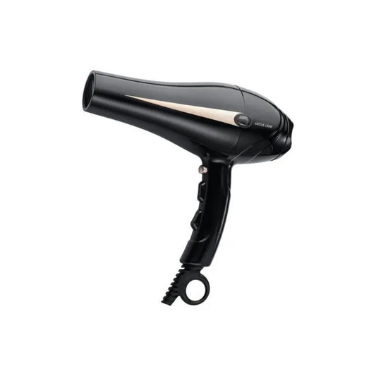 Green Lion Professional Hair Dryer, 2000W Rated Power, 28-69°C Temperature, Precision Concentrator, Removable Air Inlet - Black