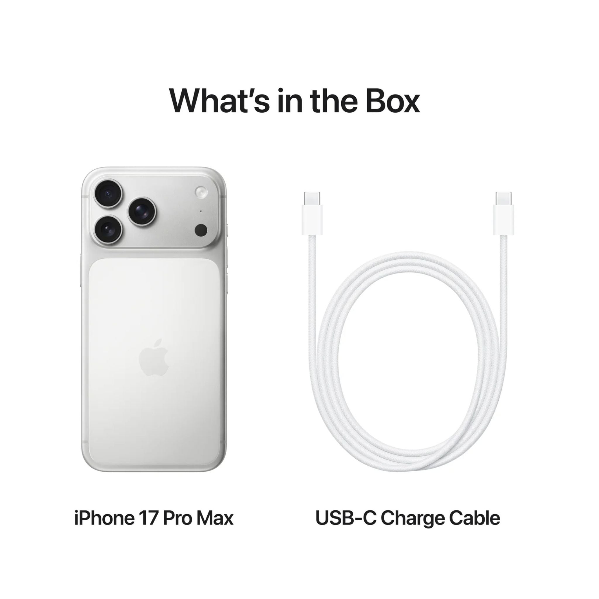 Apple iPhone 17 Pro Max 256 GB 5G (eSim only) With FaceTime - International Version -Silver