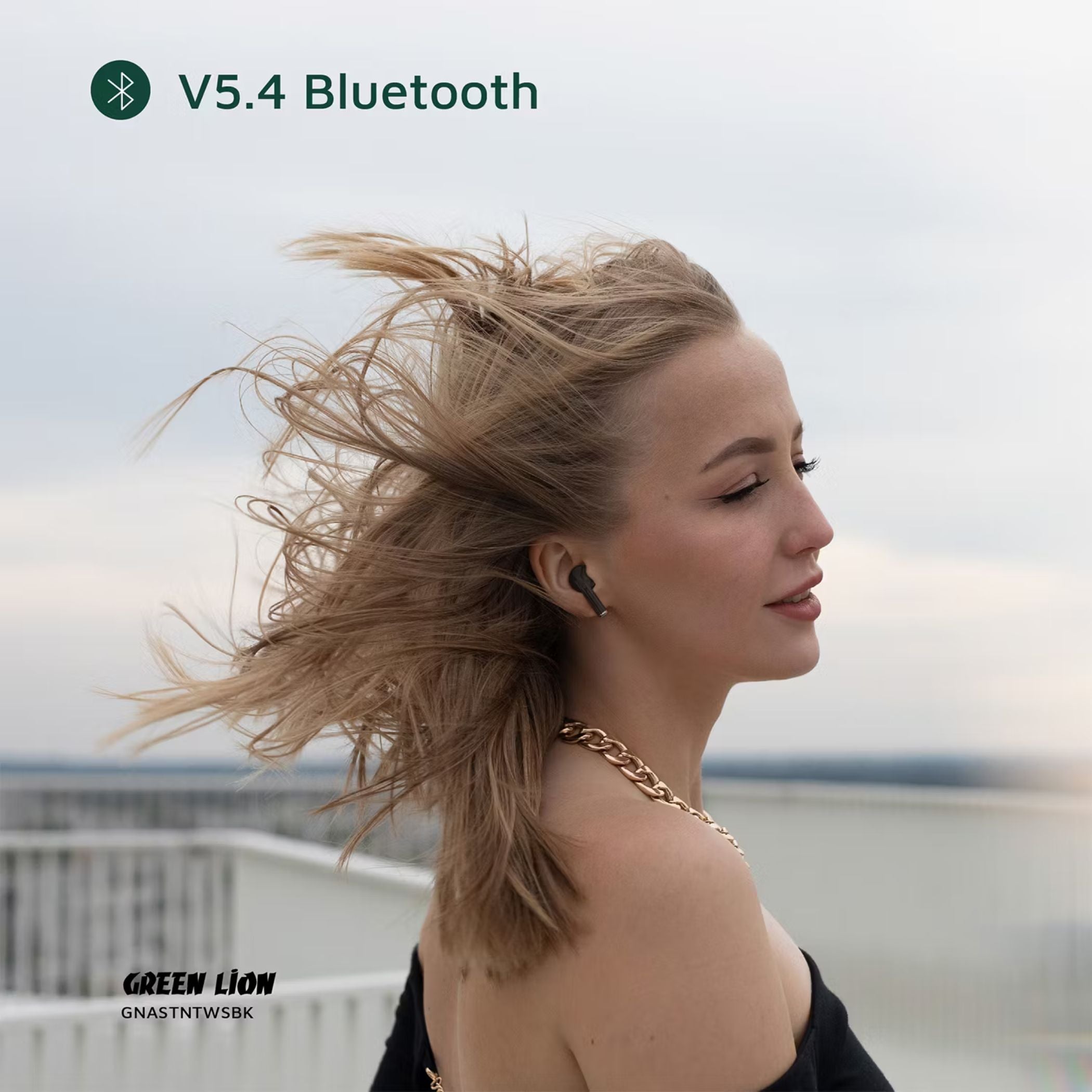 Green Lion Austin True Wireless Earbuds with Built-in Microphone, HiFi Sound, Dual-Mic, Touch Control, Voice Assistant, Type-C Charging, 3 Hours Playtime - Black