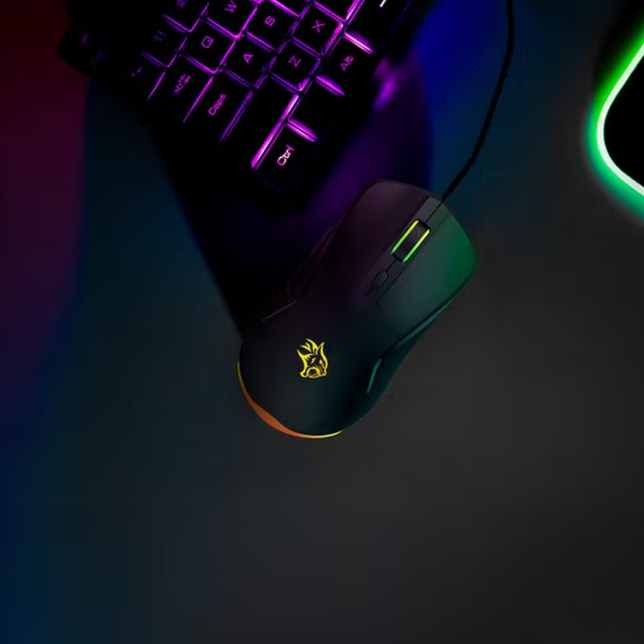Porodo Gaming Wired Mouse with RGB Light, 7200 DPI, 3 Million Clicks Switch Life-time, 6 Programmable Buttons, 1.5m Braided Cable, 125Hz Polling Rate, Instant 725F Chip - Black