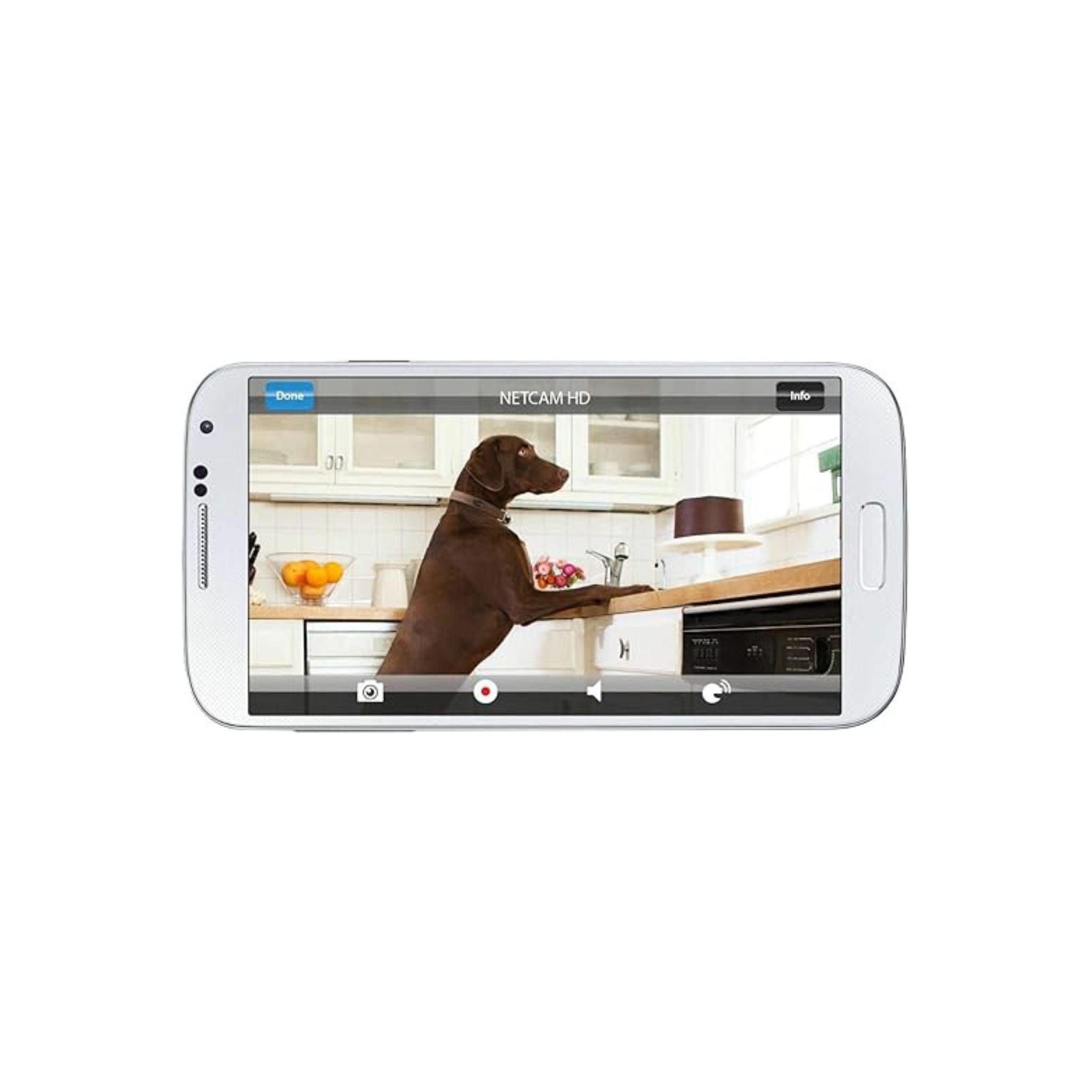 Belkin NetCam HD+ Wi-Fi enabled Camera works with WeMo, includes Night Vision, All Glass Wide Angle Lens, and Infrared Cut-off Filter