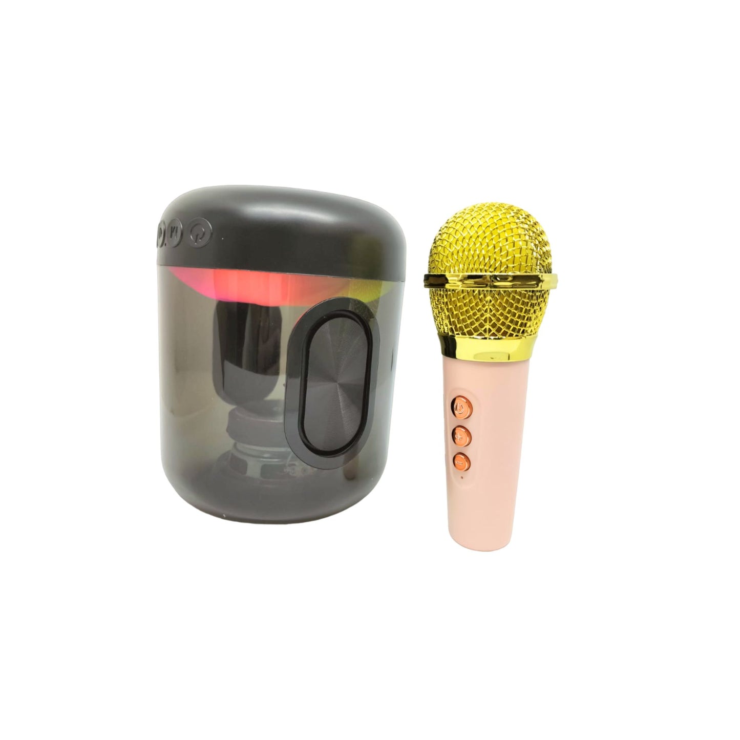 Karaoke Machine, Portable Bluetooth Speaker with Wireless Microphone