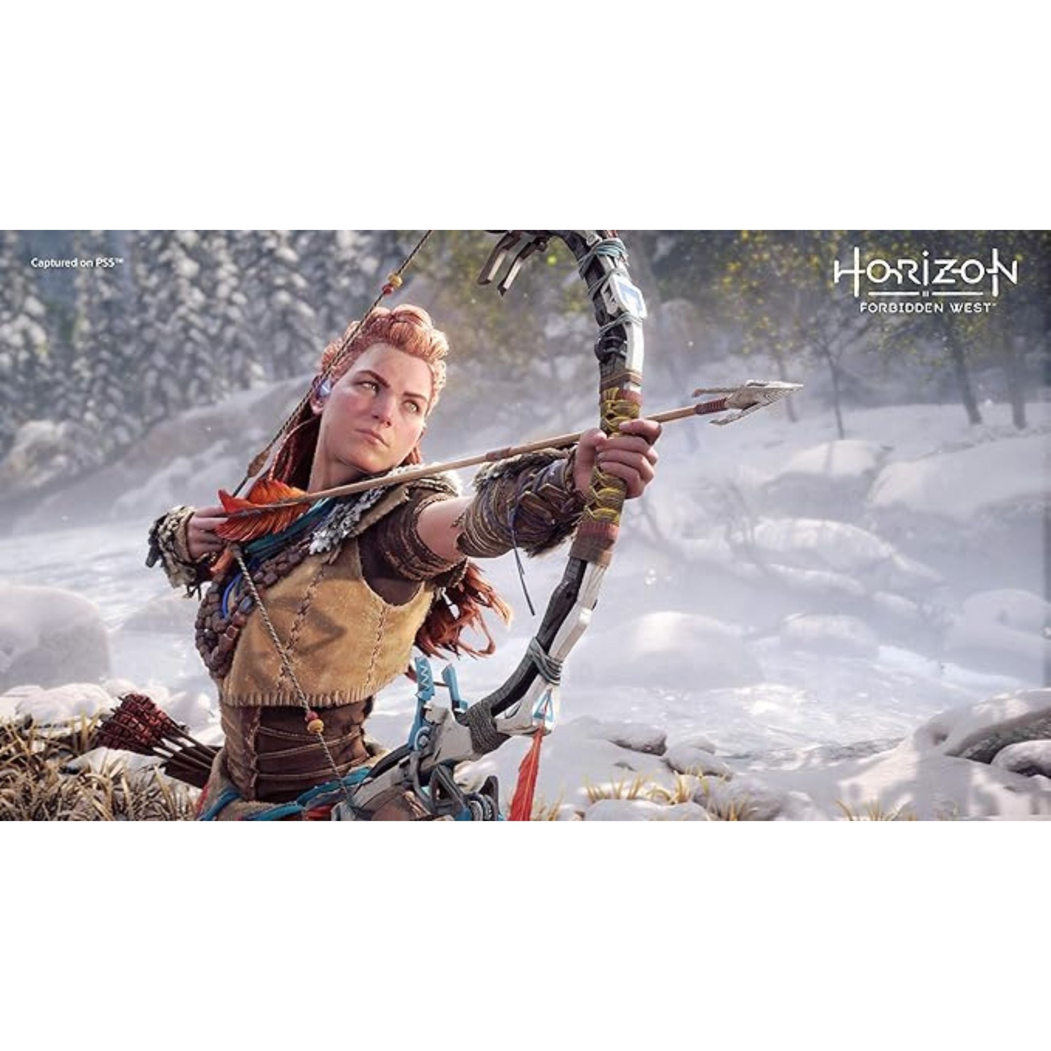 Sony Horizon Forbidden West Game - PlayStation 5 (PS5)