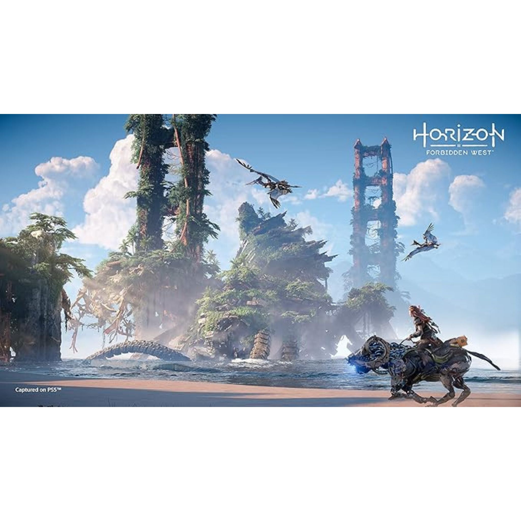 Sony Horizon Forbidden West Game - PlayStation 5 (PS5)