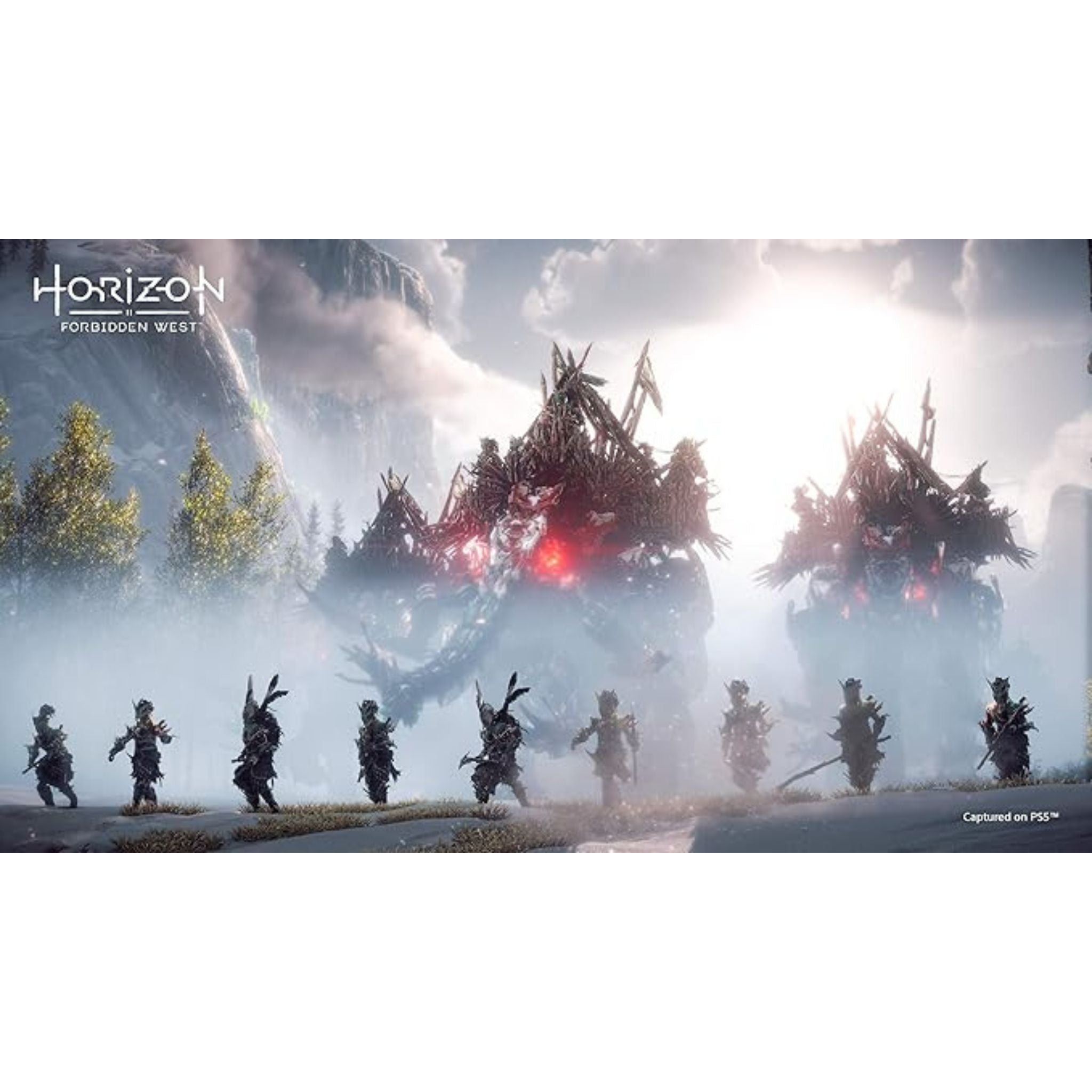 Sony Horizon Forbidden West Game - PlayStation 5 (PS5)