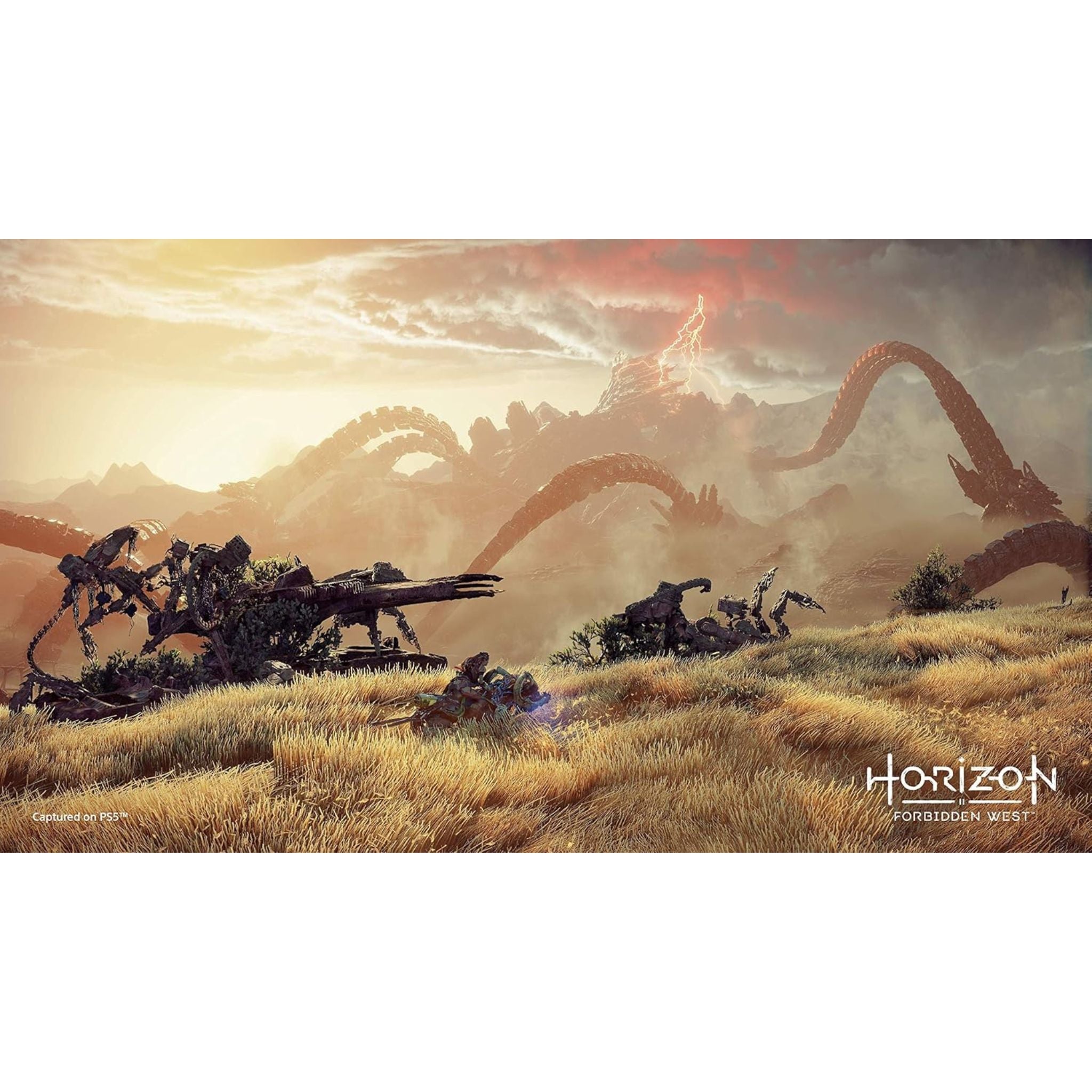 Sony Horizon Forbidden West Game - PlayStation 5 (PS5)