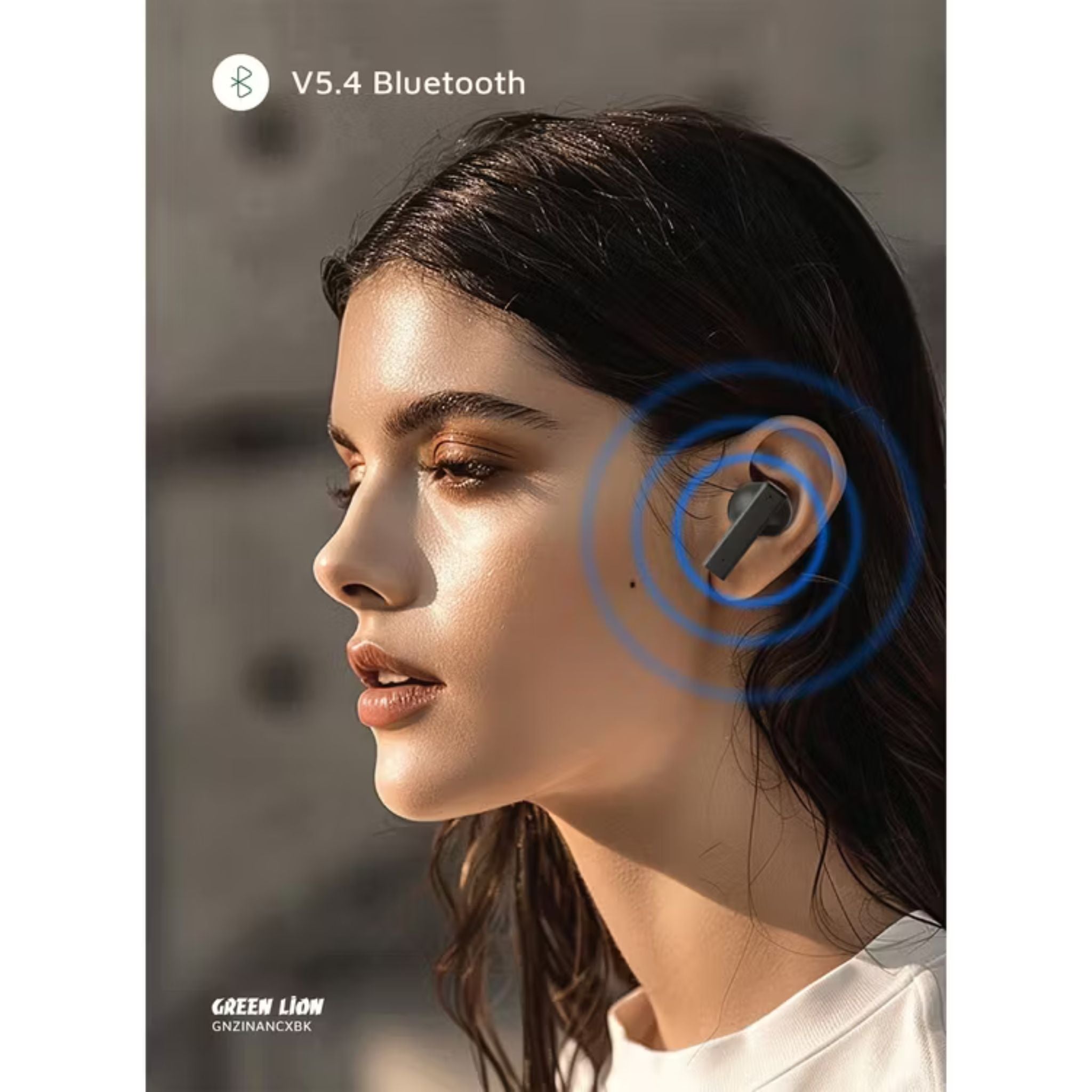 Green Lion ZINC X Metal Earbuds TWS with ANC, Aluminum Alloy Case, High-Definition Microphone, 25dB Noise Reduction, 10 Meters Transmission Range - Black