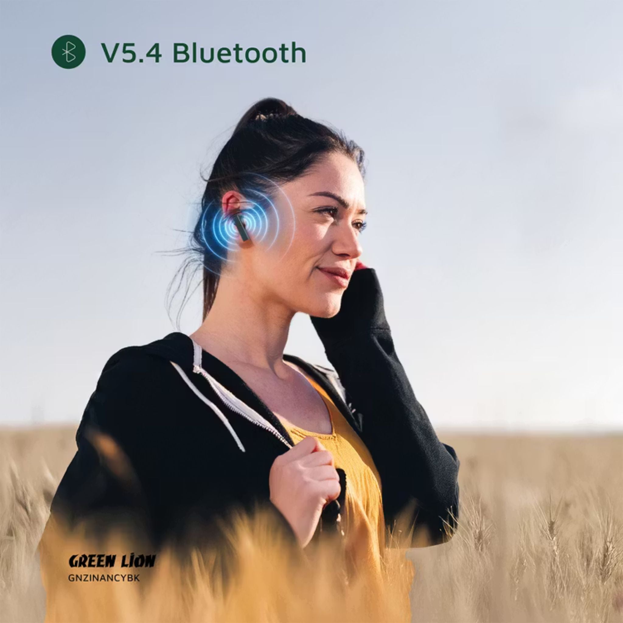 Green Lion ZINC Y Metal Earbuds TWS with ANC, Aluminum Alloy Case, High-Definition Microphone, 25dB Noise Reduction, 10 Meters Transmission Range - Black