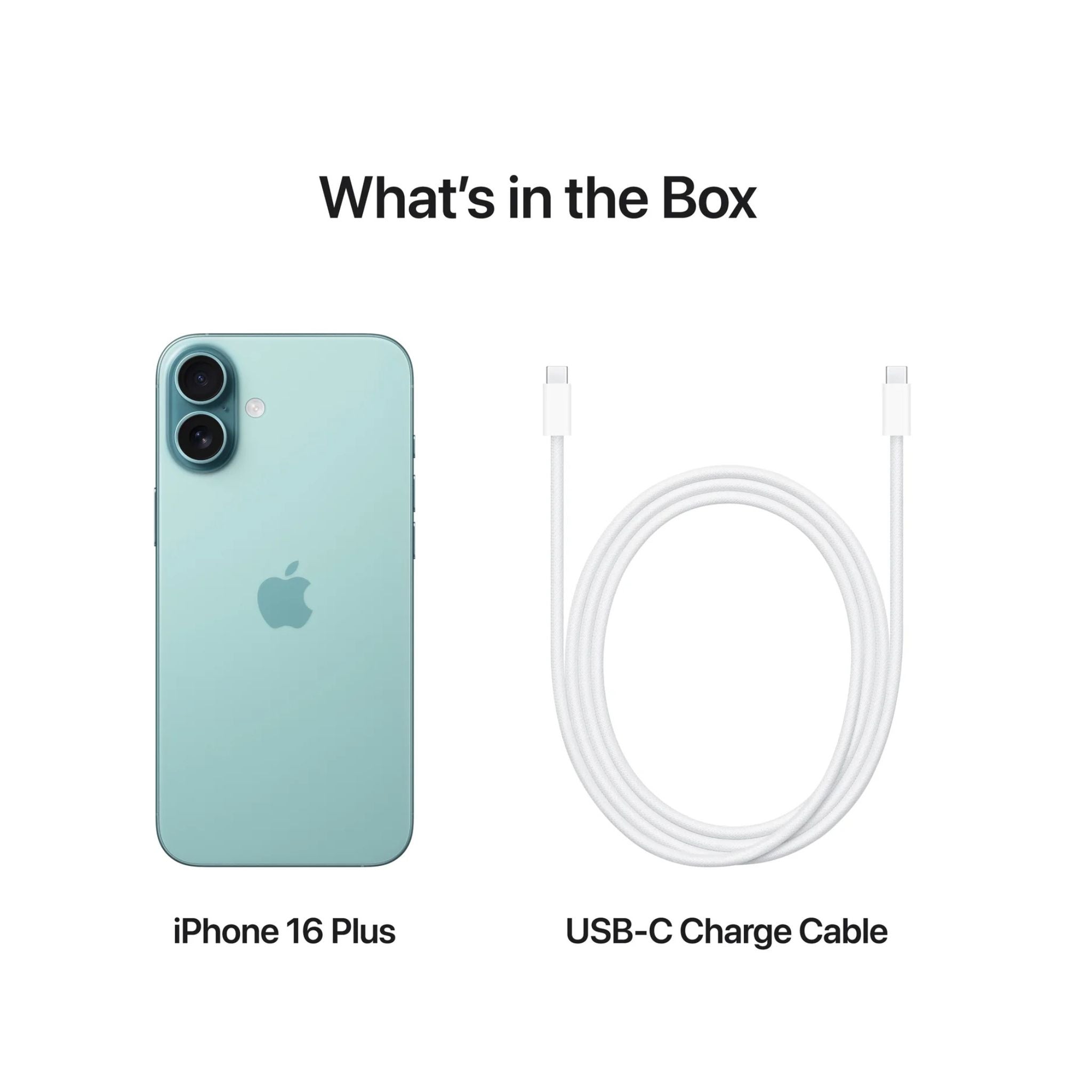 Apple iPhone 16 Plus (128 GB) - Teal (INDIA)