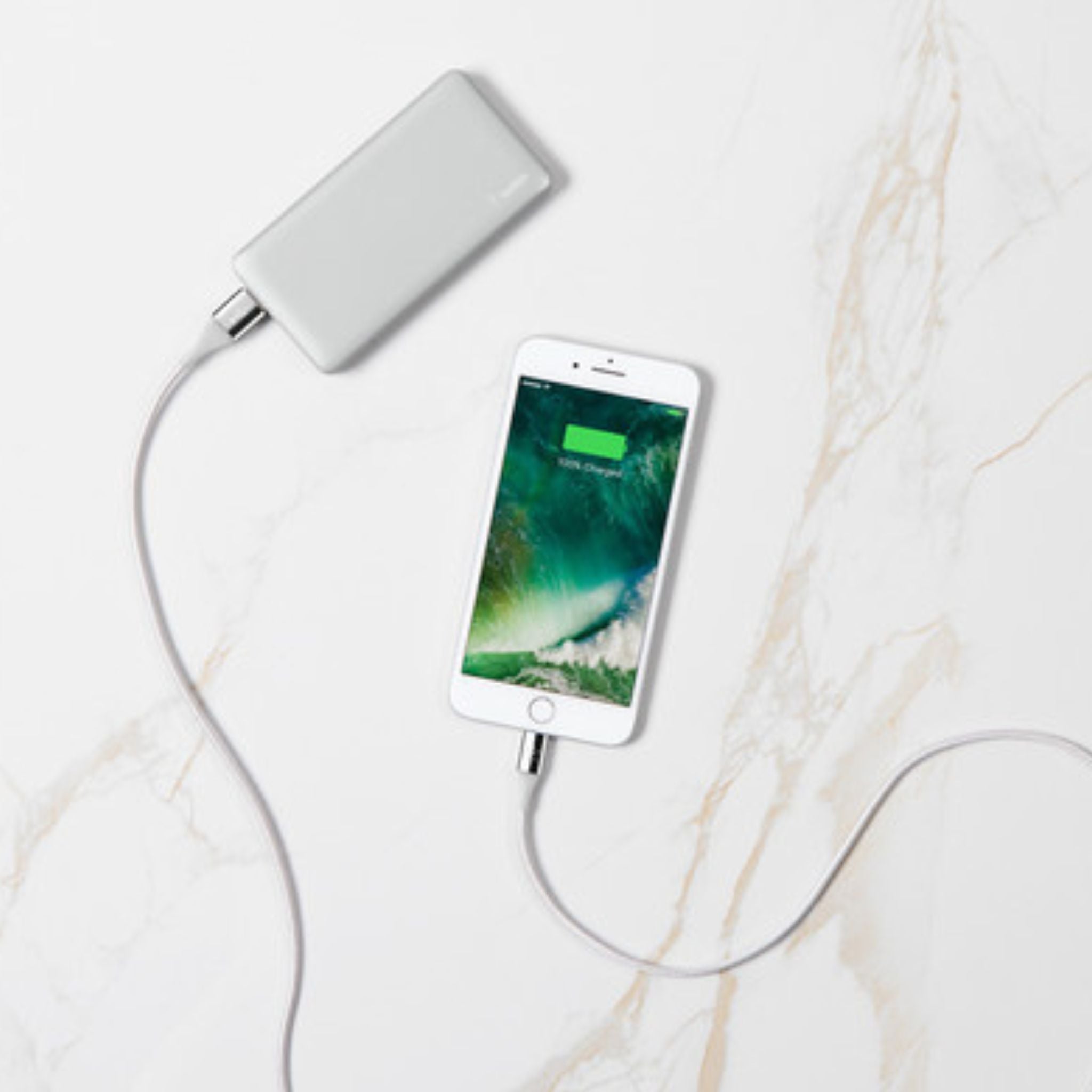 Belkin 5000 mAh Pocket PowerBank 5000mAh_Silver