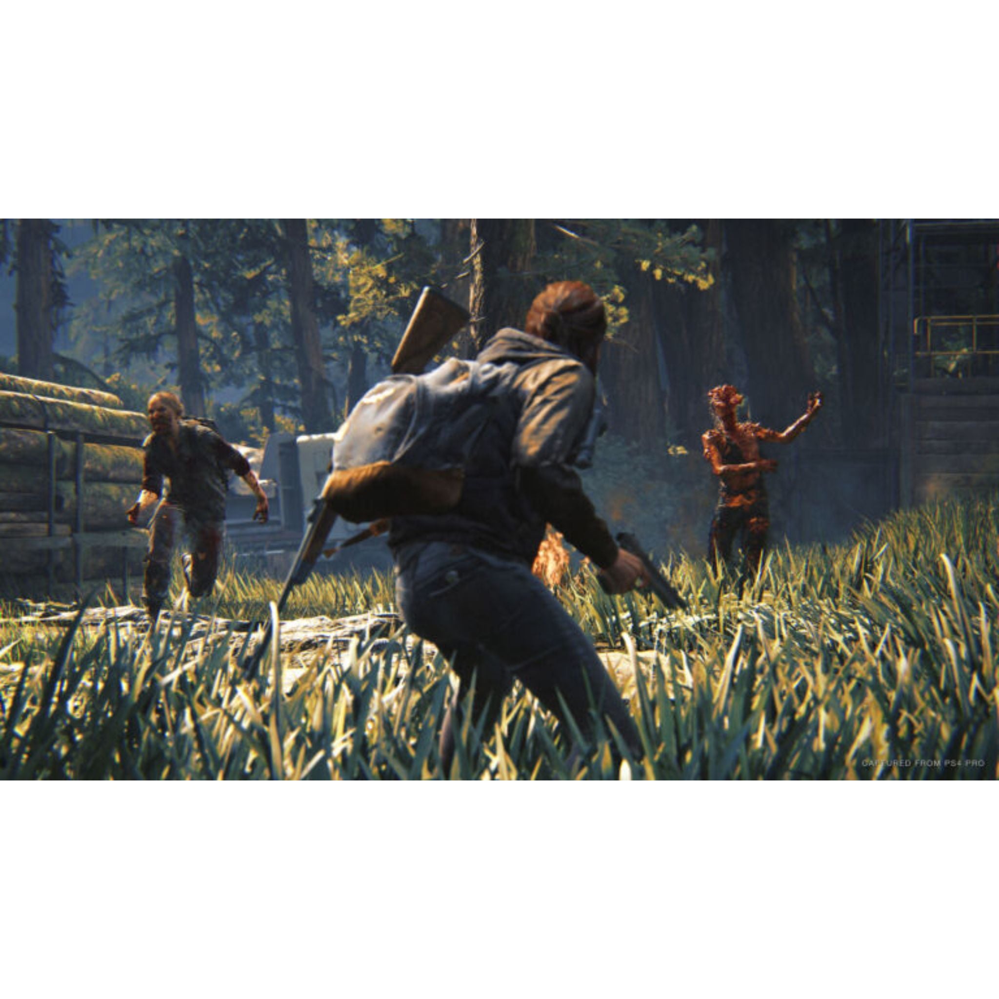 NAUGHTY DOG The Last Of Us Part 2 Remastered - PlayStation 5 (PS5)