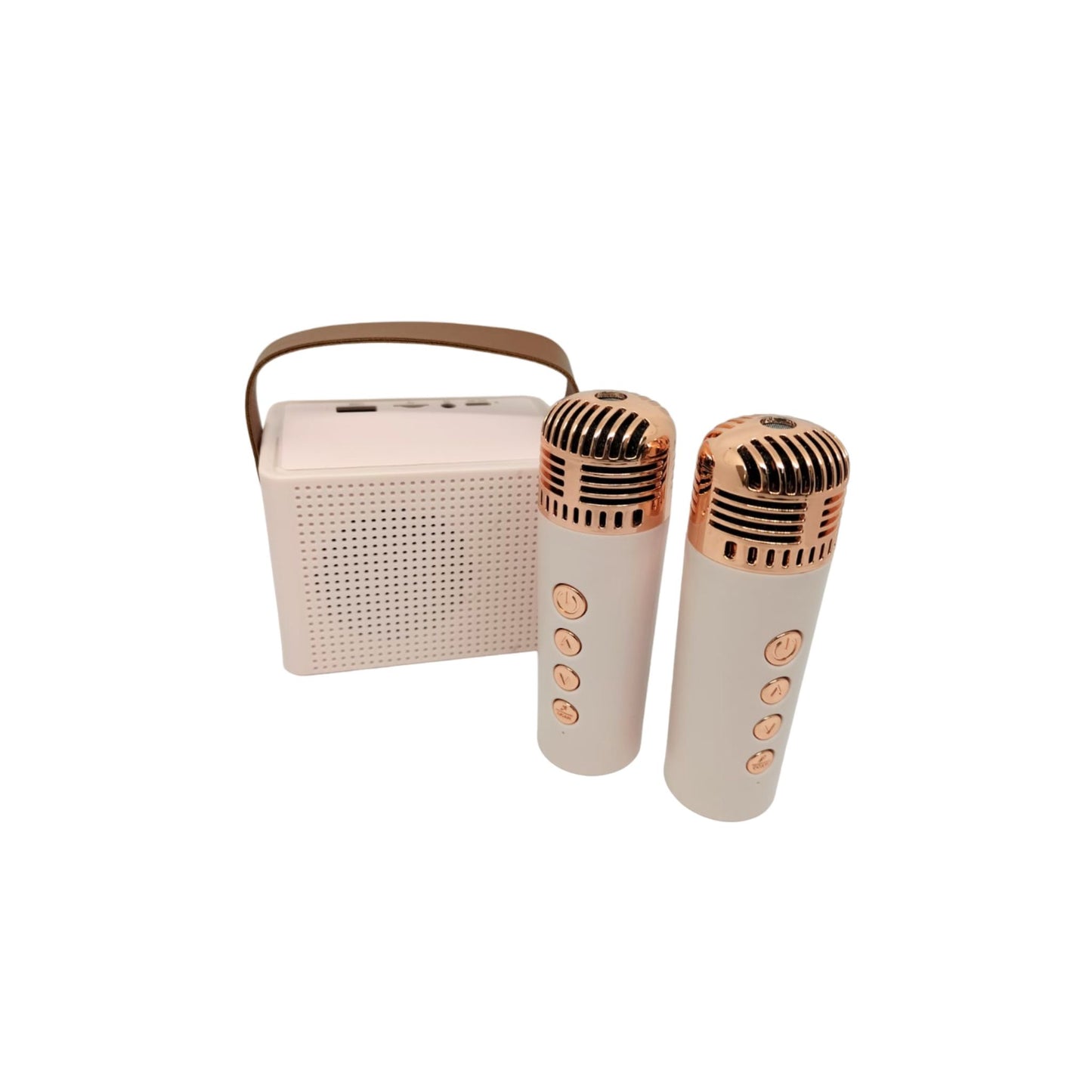 Bluetooth Karaoke Speaker with 2 Wireless Microphones PA Speaker System for ndoor Outdoor Party, Family Party Singing