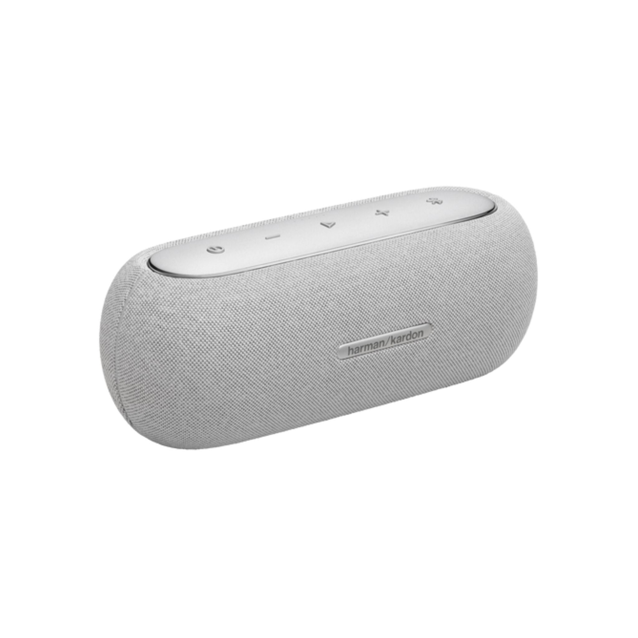 Gray portable speaker on a white background