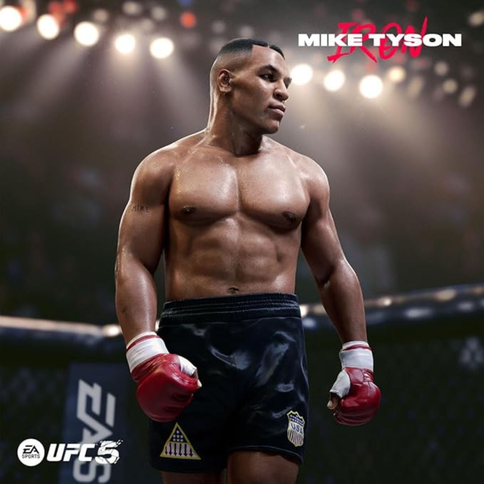 EA Sports UFC 5 - PlayStation 5 (PS5)