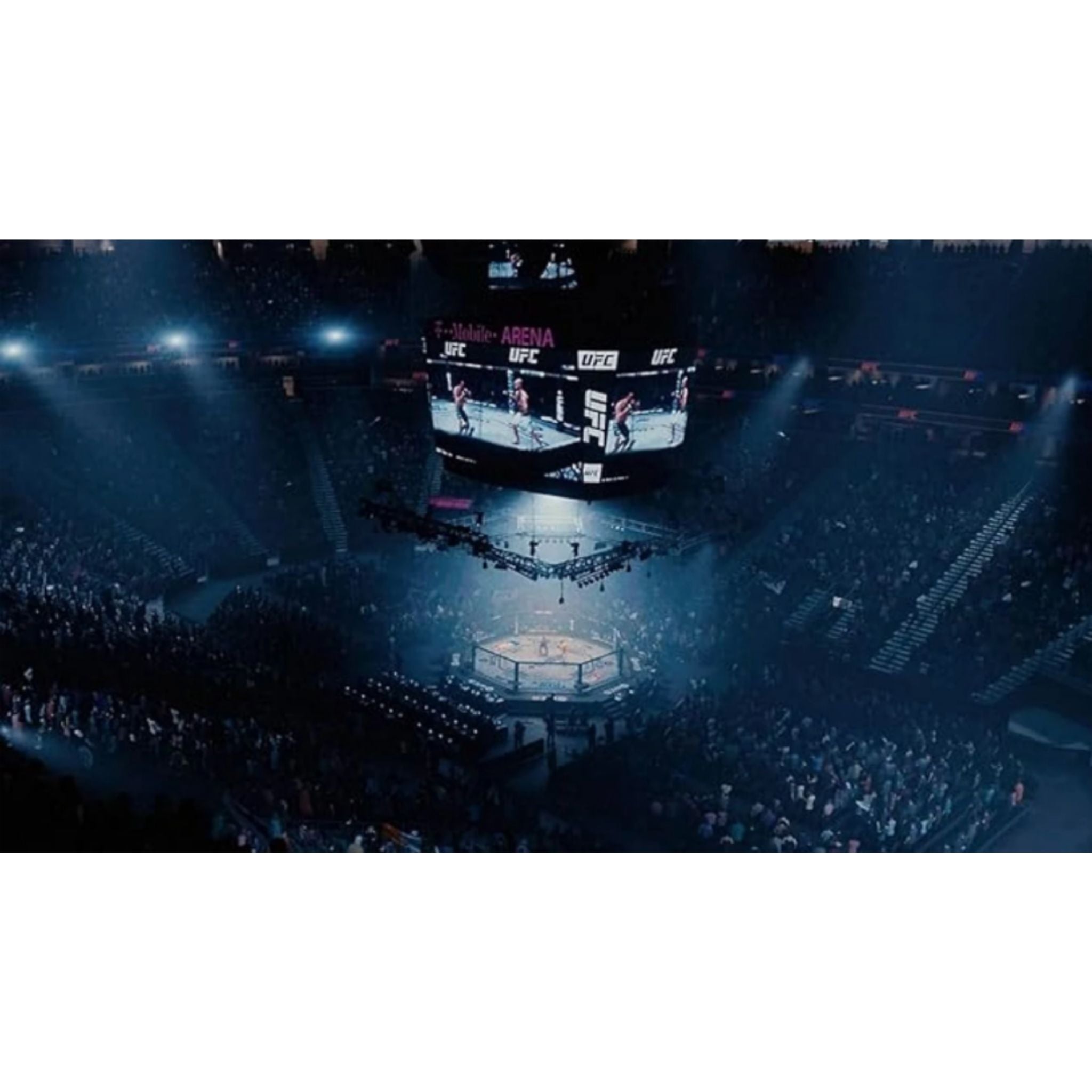 EA Sports UFC 5 - PlayStation 5 (PS5)