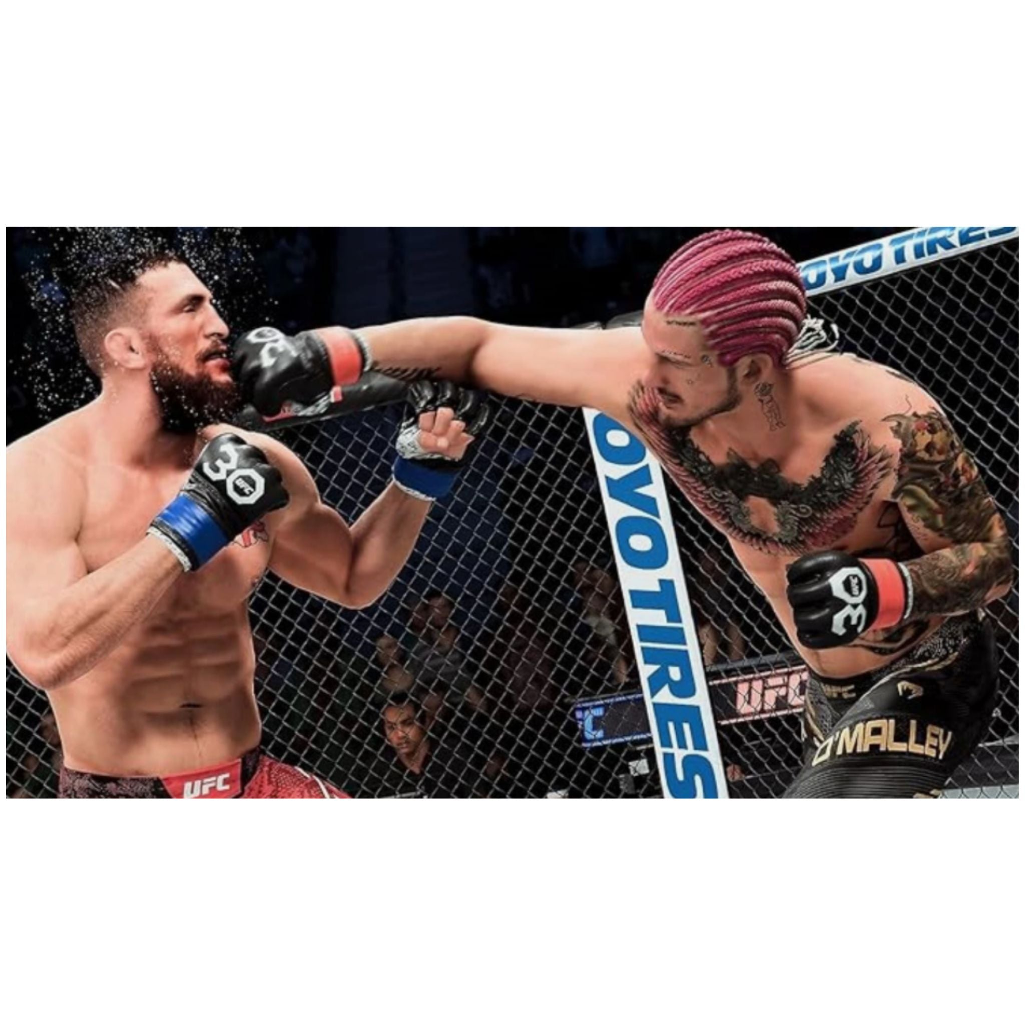 EA Sports UFC 5 - PlayStation 5 (PS5)