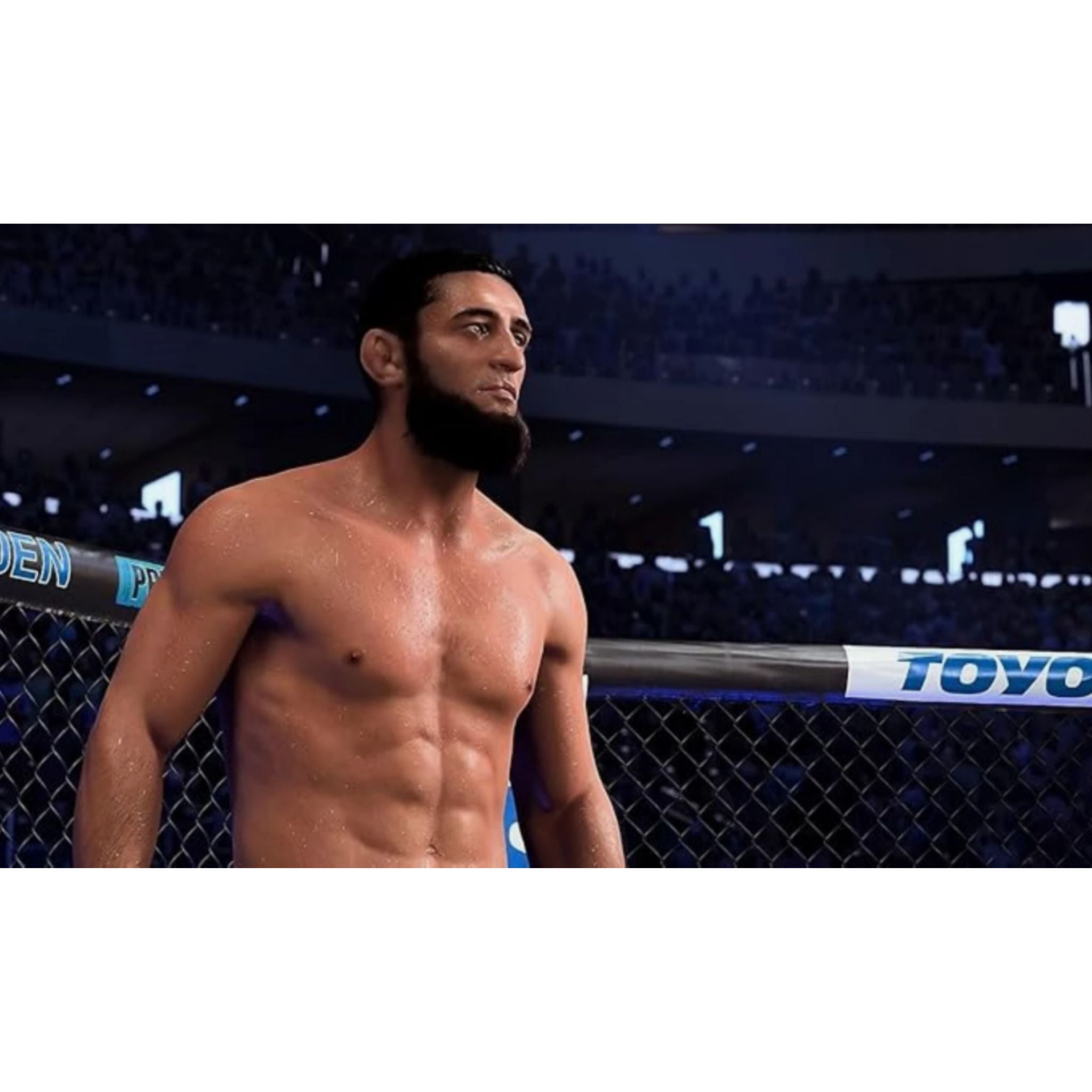 EA Sports UFC 5 - PlayStation 5 (PS5)